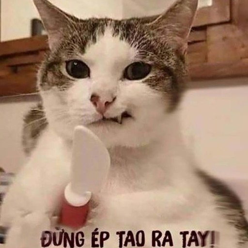baodeptrai